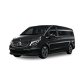 Mercedes Viano